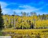 Découvrez « Pando », un organisme vivant de 43 hectares dont l’âge serait compris entre 16 000 et 80 000 ans (l’un des plus anciens au monde !)