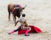 L’interdiction de la tauromachie pour les mineurs soutenue par un élu du Lot-et-Garonne