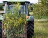 Les agriculteurs suisses prêts à s’engager pour une production durable