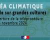 Téléprocédure d’indemnisation des événements de grêle sur les grandes cultures – Aides temporaires et catastrophes agricoles – Agriculture, sylviculture et développement rural – Actions de l’État