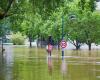 Une réponse naturelle (et radicale) au changement climatique et aux inondations au Royaume-Uni