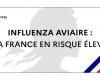 La France est à haut risque depuis le 9 novembre 2024 – Grippe aviaire – Animaux – Actions de l’État