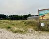 le fléau du vol des clôtures protégeant la dune dans cette station de Loire-Atlantique