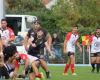 Le syndicat. Football et rugby : le programme