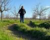 le désarroi d’un agriculteur de Dordogne en difficulté