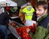 Dans la Manche, ses pommes devraient lui rapporter 5 000 litres de jus et 15 000 bouteilles de cidre en