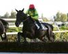 Dimanche à Auteuil – Prix Bernard Secly : Attention à « Nicolle »