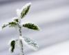 Avec le retour de la neige et du froid, le temps de cette semaine s’annonce hivernal