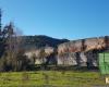 Une forêt urbaine pousse au bord du Lot, à Cahors