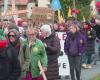 “Nous n’en voulons pas.” Près de 500 personnes manifestent contre un projet de méga-serre de tomates dans la Manche