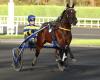 The Top 3 of Equidia journalists for the Prix de BretagneAmérique Races Q1 in Vincennes