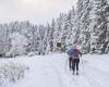 J’ai juré. Le massif se prépare à la lente disparition de la neige