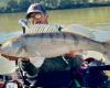 Quel est ce poisson que l’on pêche en automne sur les rivières de l’Aude ?