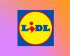 Lidl frappe un grand coup avec ces 3 offres Parkside à des prix inédits