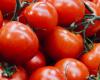 pourquoi faut-il manger des tomates ?