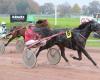 Finale régionale des 5 ans (Ouest) : La surprise Jade Hérinière