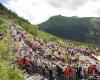 Un millésime en or pour le Puy Mary