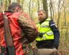 En pleine chasse à la bécasse, les chasseurs visés par un contrôle approfondi