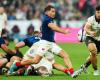 XV de France, grosse polémique après le match contre les All Blacks