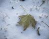 Mardi, le temps sera orageux – puis la neige tombera « jusqu’en bas »