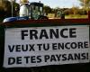 DIRECT. Colère des agriculteurs : les tracteurs entrent en action, nombreux “feux de colère” ce lundi soir