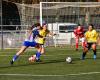 D3F. Grenoble s’effraie mais gagne