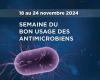 Semaine mondiale de la pertinence des antimicrobiens 2024