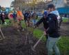 vignes plantées, communes renommées, plus de 80 actions symboliques lancées en France