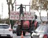 L’accord de l’UE avec le Mercosur provoque la colère des agriculteurs français et le rejet d’un ministre italien