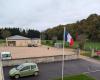 Un sanglier déboule devant la salle des fêtes d’un village du Calvados