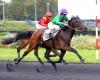 Jeudi à Vincennes – Prix Urgent : Cœur de Lion parmi les participants