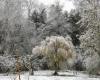 Bulletin météo. Le froid revient, neige annoncée dans les Alpes et peut-être en plaine