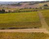 Tarn. Le vin, ce n’est pas seulement la vigne… Cet événement vous invite à découvrir ceux qui gravitent autour