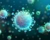 Coronavirus (COVID-19) : symptômes, causes, traitements, transmission