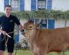 Près de Parthenay. A 16 ans, il tente sa chance à l’élection de Monsieur Agricole