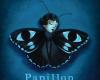 Benjamin Lacombe presents “Papillon Noir”, a free exhibition at the Galerie Gallimard