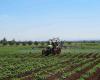 Focus sur les exportations agricoles