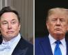 La romance Musk-Trump peut-elle durer ?