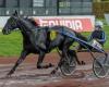 Iguski Sautonne préféré de Cédric Bloquet