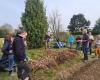 Des stages pour apprendre les techniques de permaculture et d’électroculture en Loire-Atlantique