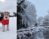 Les meilleures photographies des téléspectateurs alors que la neige frappe les Midlands