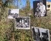 Aux Jardins Solidaires de Nîmes, Marc Pataut et la mémoire de “Ceux du terrain” devant le Stade de France