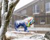 Après les tempêtes et la pluie vient la neige