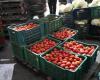 Une hausse de 146 % des prix des tomates en un an