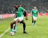 Un gros coup dur pour les Verts