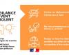 Vigilance Orange « Vent » le 20/11/2024 de 8h à 20h – Vigilance météo – Risques naturels – Prévention des risques – Transition écologique, environnement et prévention des risques – Actions de l’État