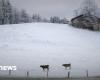 La grosse neige arrive-t-elle maintenant ? -Nouvelles