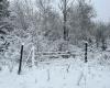 Fortes chutes de neige et vents forts dans l’ouest du Manitoba