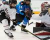 Un match de hockey féminin professionnel aura lieu à Edmonton en février