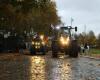 une manifestation pacifique des agriculteurs